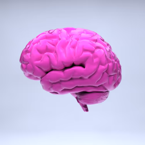 77412820926303725204956055566925211190020908428863033075197849054394282147841