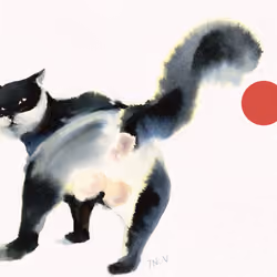 meaow#13