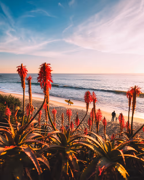 Item #85839433850987451351373420882988387136315355777257615017203975705353823191041 Media