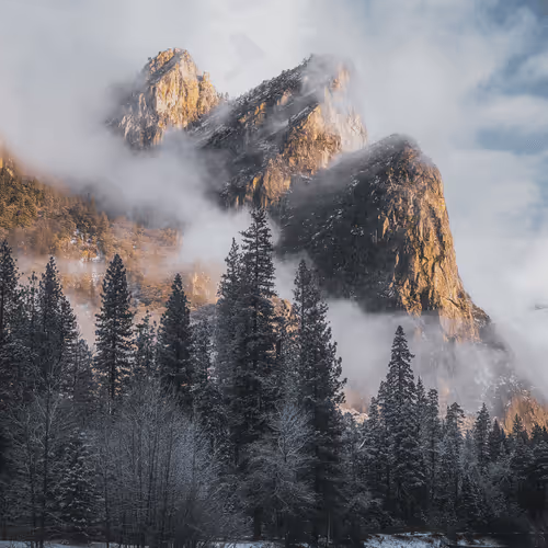 New Beginnings: California