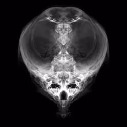 85859191866638808365331437874953228966785819470149775310971063161460807958529