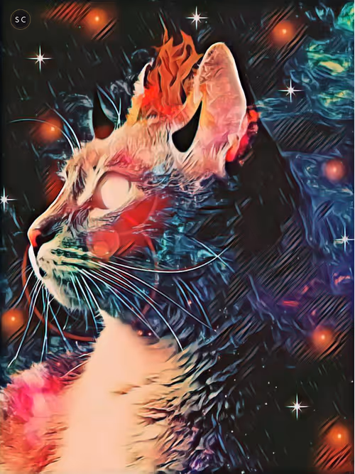 Item #56114814756646127397705002134489221206320113324181291230627375188714832527361 Media