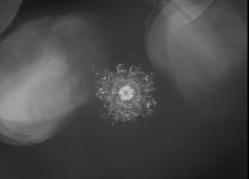 Item #52855059768790728945448853557974158537114858408602673384442303881491393806337 Media