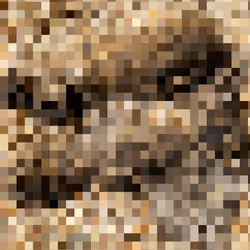 2850415134272365380187775685678842410458265265709128331682257575545002786817