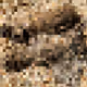 2850415134272365380187775685678842410458265265709128331682257575545002786817