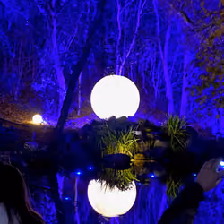 Midnight Reflections 