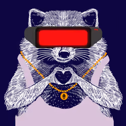 Love Raccoon #381