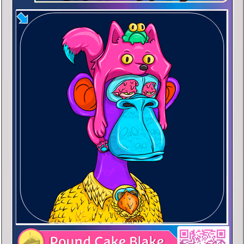 xbfine Collection