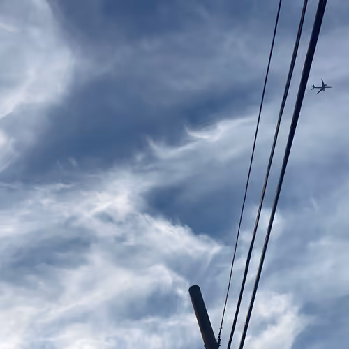 Cactusjk420 Collection