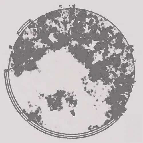 Item #99152019331641229788904140219333937428079268105691841862699864885372414590977 Media