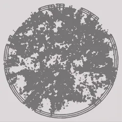 '4-pi-R-2' #13