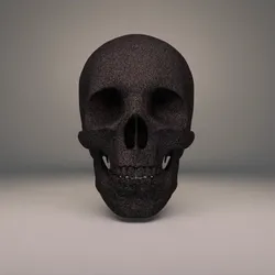 Skull #3