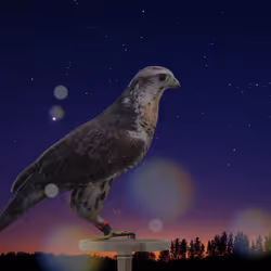 5362693153686757663037229957776630052012240176014263673100968390482131419137