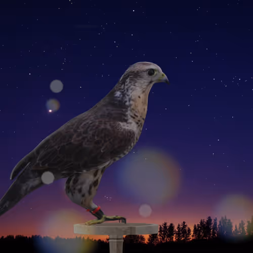 5362693153686757663037229957776630052012240176014263673100968389382619791361