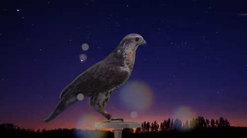 Item #5362693153686757663037229957776630052012240176014263673100968390482131419137 Media