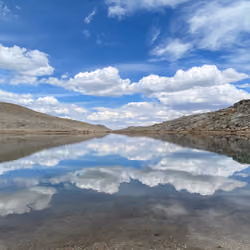 Reflections
