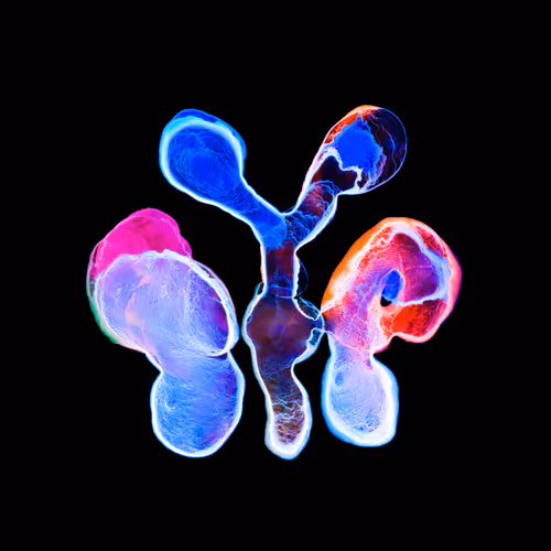 Item #21241348295233725123048088412056156901328443234644052459911106389846062530561 Media