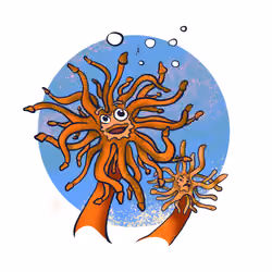 Punch Bubble Tip Anemone - #0010