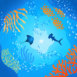 22595162815532753526113839877592438025422193508415084898168917353394507612161