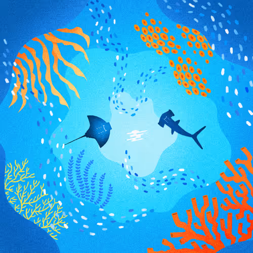 Item #22595162815532753526113839877592438025422193508415084898168917353394507612161 Media