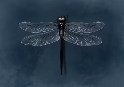 Item #92696541682472785728642999986101399050442314762471941953043121422964516454401 Media