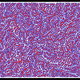 70052488390138160791330470355649069421948801382226851548507899466870568255489