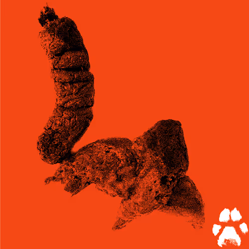 Item #50372166903255122082235376780603131603354396244022877400208829269479417446401 Media