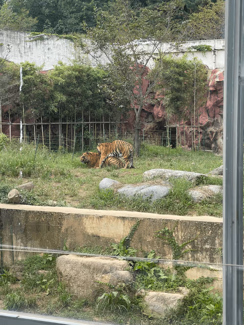 Item #26543938424039765679818423670625330766439572283060287168957744678483068452865 Media