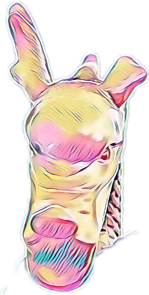 Item #26348522079904863479461241241331394809021765858560931823934972889893334679553 Media