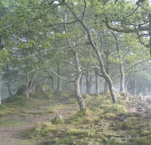 Untitled Collection #112179522