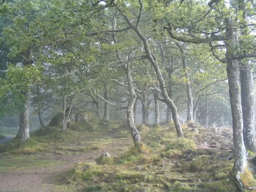 Item #80606330327008334627748003829048128628334884811809067121043064879026997821441 Media