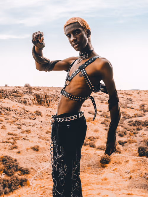 Item #8991158009075691006233407383159107478392211562958348047534999700141533822977 Media