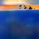 49001526880702907741989197049448537250902100671122382547763365335685719392257