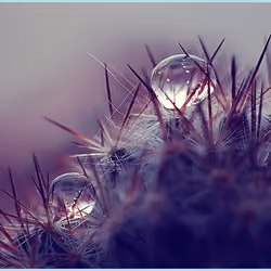 Rain drop 16