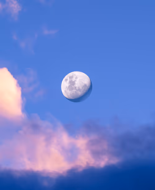 Item #31148491636585346537962268963820775448082611887353853734618727313277282418689 Media