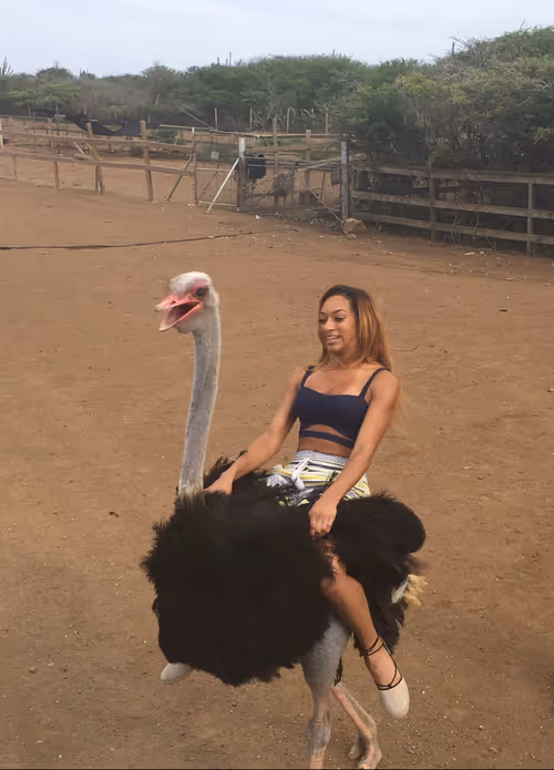 Item #3681009348513564721569599655464293893505050890690617492065969607429033295873 Media