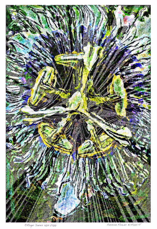 Item #6968899724388266606176016145545160509277227480062482001621938838197269168228 Media