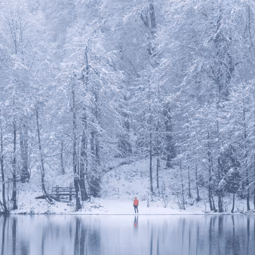 beytullaheles Collection