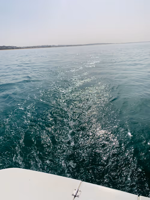 Item #75868440045810208267415570662866873652414701457049012269810670998322130452481 Media