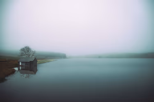 Item #63696860322879532950422636248045700974445885945239296243379094372723103629316 Media