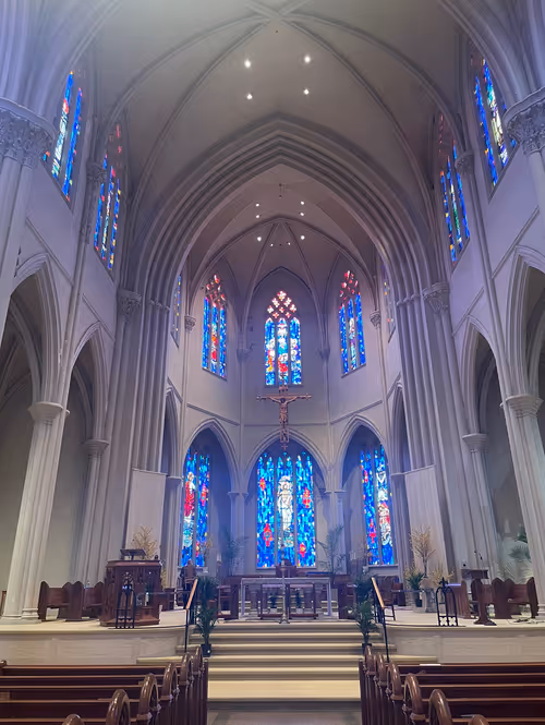 Item #36844992614188905470265102847256926820365174315882136485200209206108345073665 Media