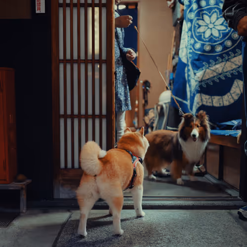 24736133982650680325660023518443263720523208853757228682651806905116198436865