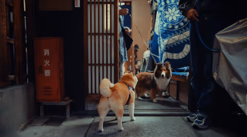 Item #24736133982650680325660023518443263720523208853757228682651806905116198436865 Media