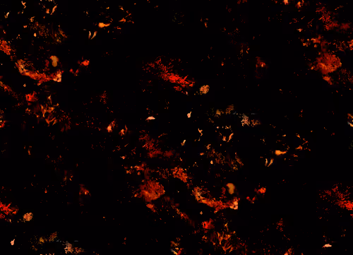 Item #6821956408278415144377066863444314316635714963985790108477829186098154176513 Media