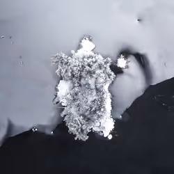 100600280271040798317723628260513137156606623100883316454227272227722314645505