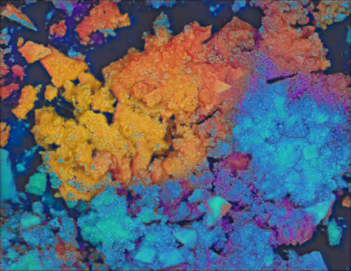 Item #22177301469207423034343584871570086378673375420367340164683847228669175005185 Media