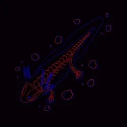 #15 X'Salamander 