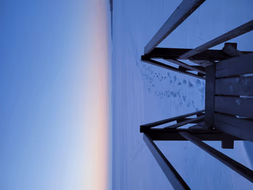 Untitled Collection #55381955