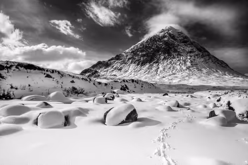 Item #41307754128955213419929316097644134962608763953462543917876022994839694999553 Media