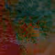 109180465851476184764190126958725518732948570475343897143361745292673465450506